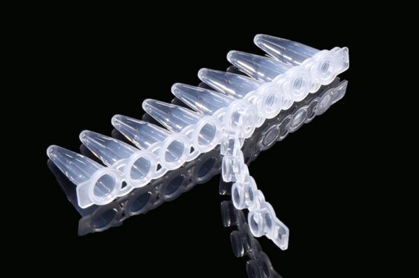 Image_Product_INS_Nest_PCR 8-StripTubeCaps_1000x665_JPG_02 Image_Product_INS_Nest_PCR 8-StripTubeCaps_1000x665_JPG_02