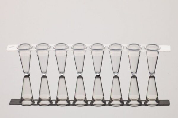 Image_Product_INS_Nest_PCR8StripTubes_1000x665_JPG_02 Image_Product_INS_Nest_PCR8StripTubes_1000x665_JPG_02