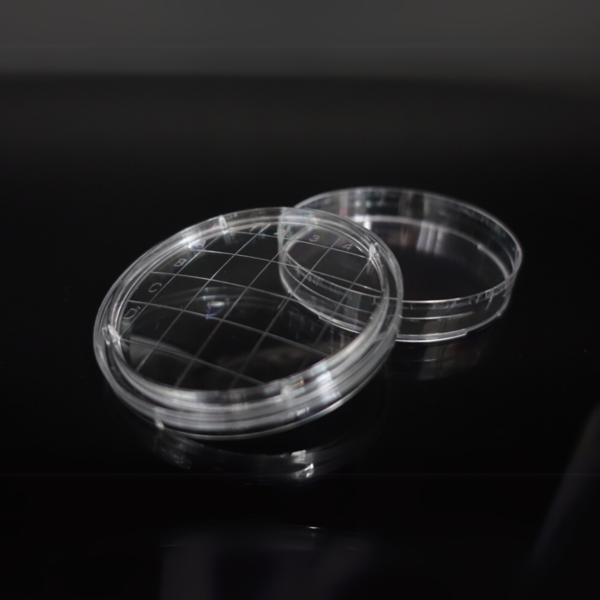 Image_Product_INS_Nest_PetriDishes_1000x665_JPG_03_1200x1200 Image_Product_INS_Nest_PetriDishes_1000x665_JPG_03_1200x1200