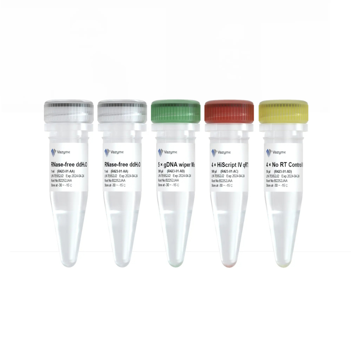 Vazyme – HiScript IV RT SuperMix for qPCR (+gDNA wiper) 