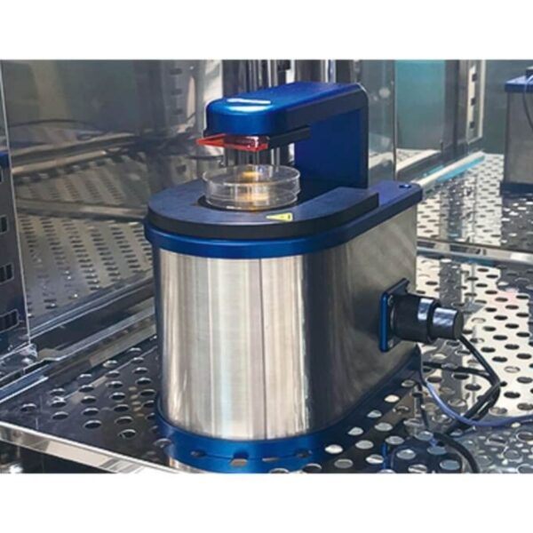 Copy of 0219-2 Copy of 0219-2