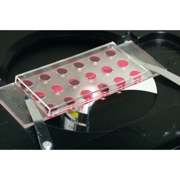 Copy of 0219 (2) Copy of 0219 (2)