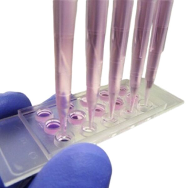 Copy of 0219 (3) Copy of 0219 (3)