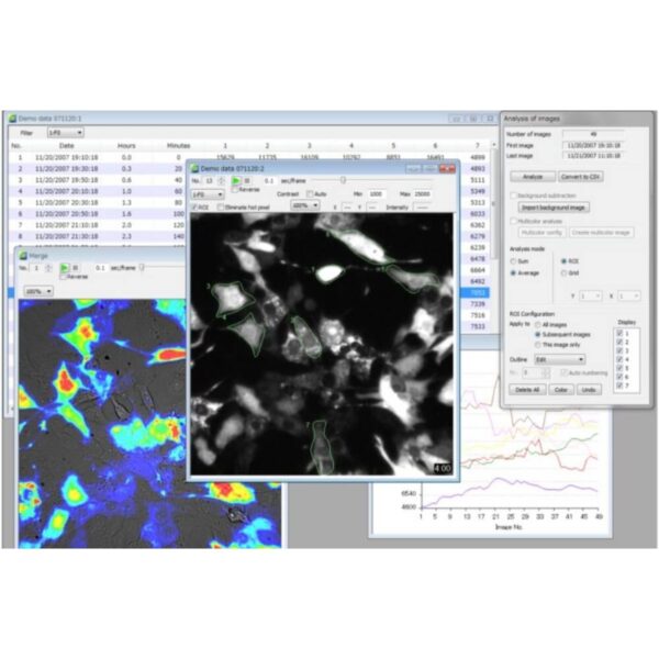 Copy of 0219-4 Copy of 0219-4