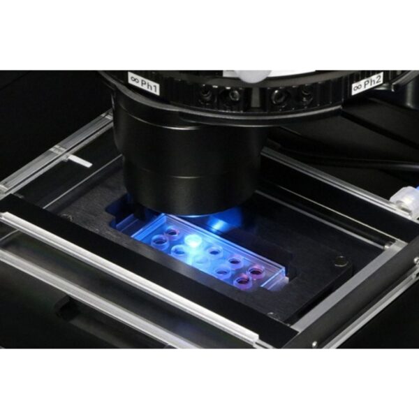 Copy of 0219 (4) Copy of 0219 (4)