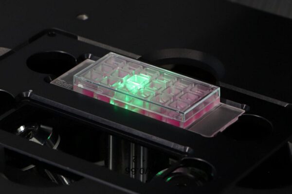 Image_Product_INS_Ibidi_Slide18Well_1000x665_JPG_02 Image_Product_INS_Ibidi_Slide18Well_1000x665_JPG_02