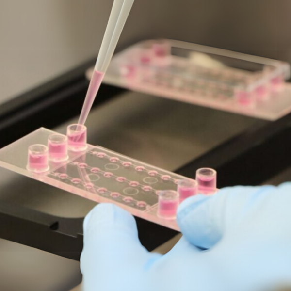 Image_TEC_INS_Ibidi_SlideSpheroidPerfusion_1000x665_02_JPG_1200x1200 Image_TEC_INS_Ibidi_SlideSpheroidPerfusion_1000x665_02_JPG_1200x1200